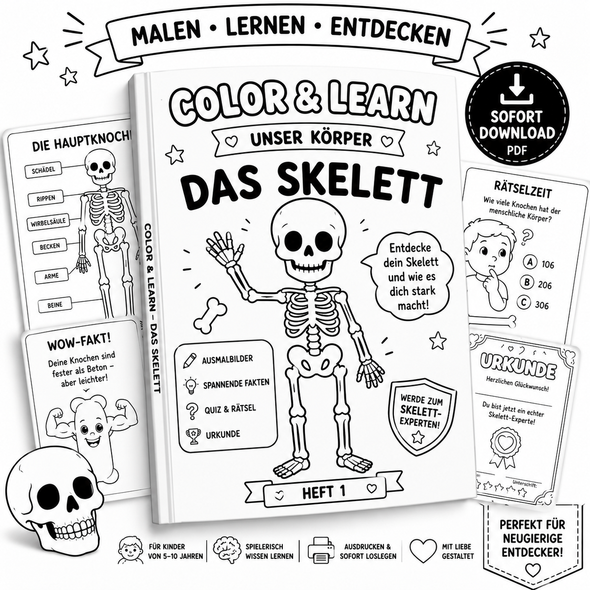 Color & Learn – Unser Körper | Heft 1: Das Skelett